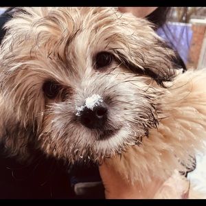 Meet your Posher, Chantel